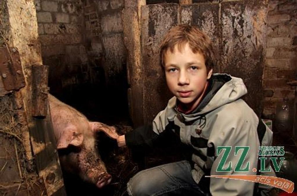 Piektdien «Zemgales Ziņās»: Cūku bēres laukos; JAP atlaiž šoferi, jo tas runājis ar opozīcijas deputātu; streiks nav licis akurāti maksāt algu; sētas kaķu glābēja