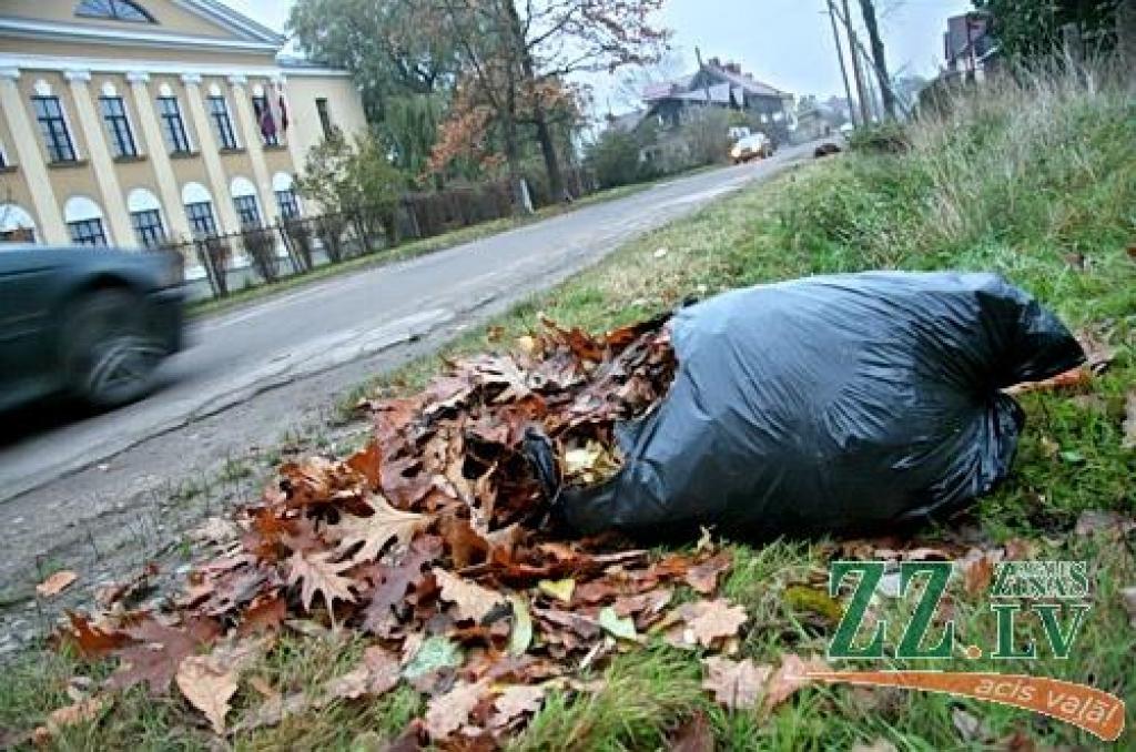 Sūdzas par jauniešiem, kas traucē vākt lapas