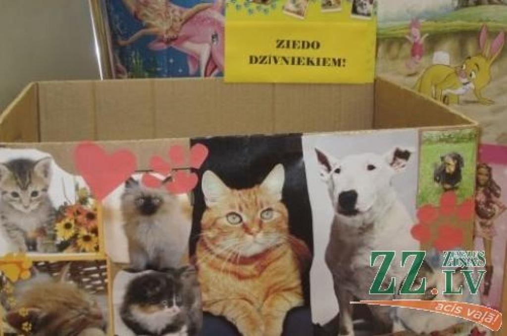 Bibliotēka «Zinītis» aicina ziedot dzīvniekiem sadzīviskas lietas