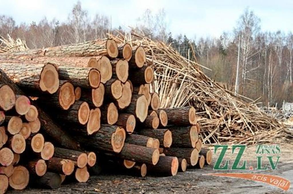 LLU doktorants izstrādā jaunu kokmateriālu apstrādes kontroles tehnoloģiju