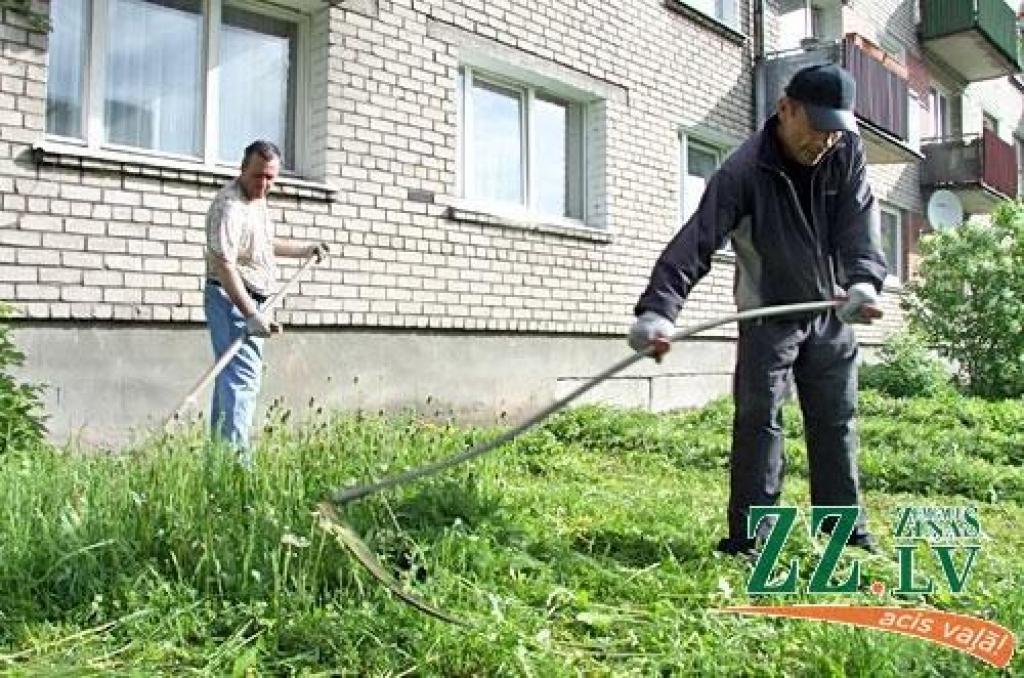 Zālienu ap NĪP apsaimniekotajām mājām pļaus SIA «Kulk»