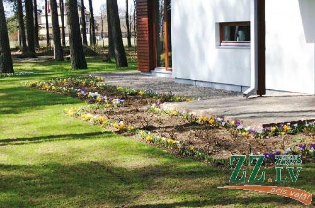 Uzkopjam zālienu
