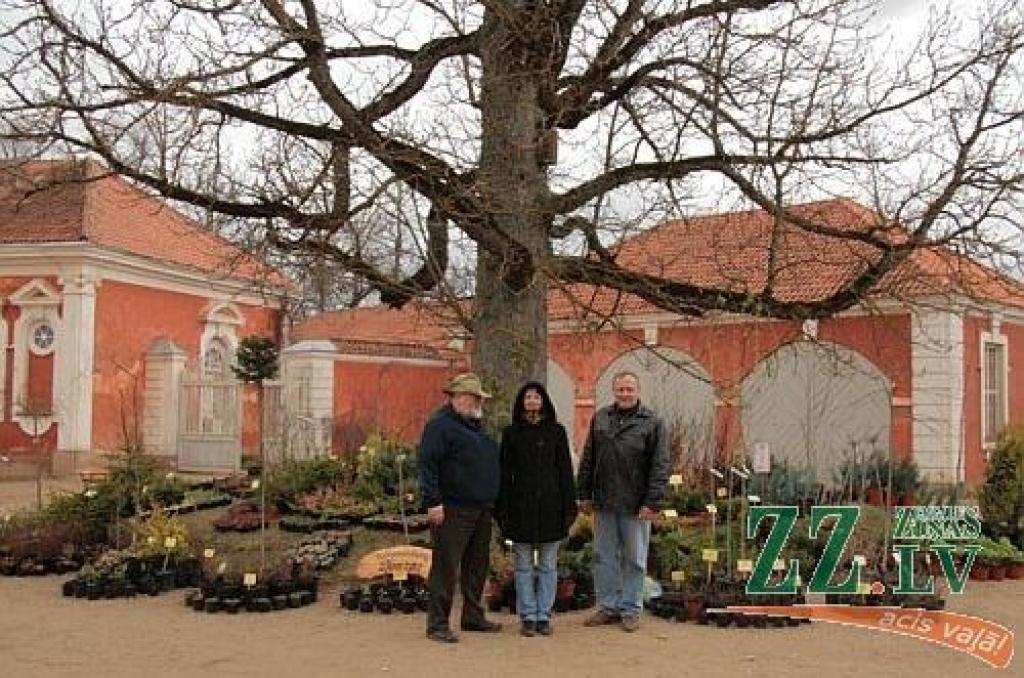 «Dimzas» aicina uz stādaudzētāju izstādi Rundāles pilī