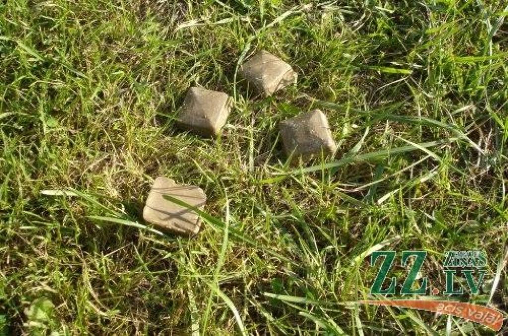 Drīzumā ap Jelgavu sāks izvietot meža dzīvnieku vakcīnu pret trakumsērgu