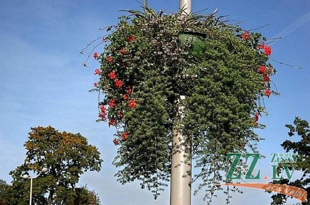 Jelgavā pie laternām šopavasar atkal būs puķu podi