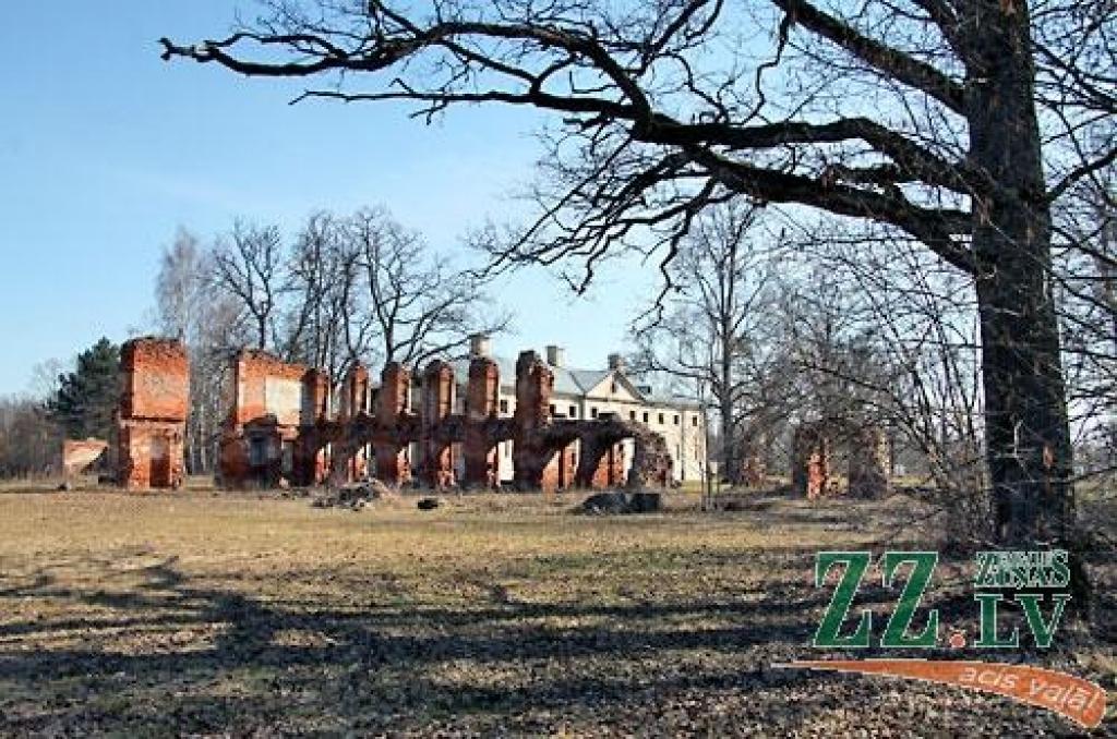 Elejas parkā par 5000 latiem inventarizēs kokus