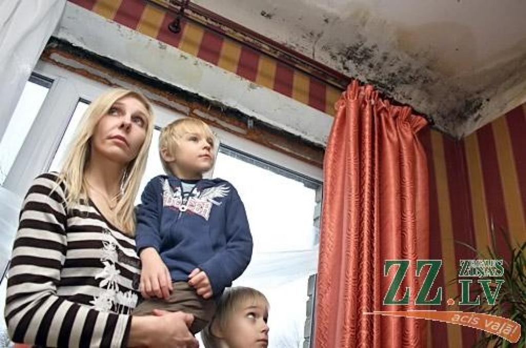 Otrdienas «Zemgales Ziņās»: Tek kā no dušas; Āboli un burkāni skolās; Elektromontieru raizes