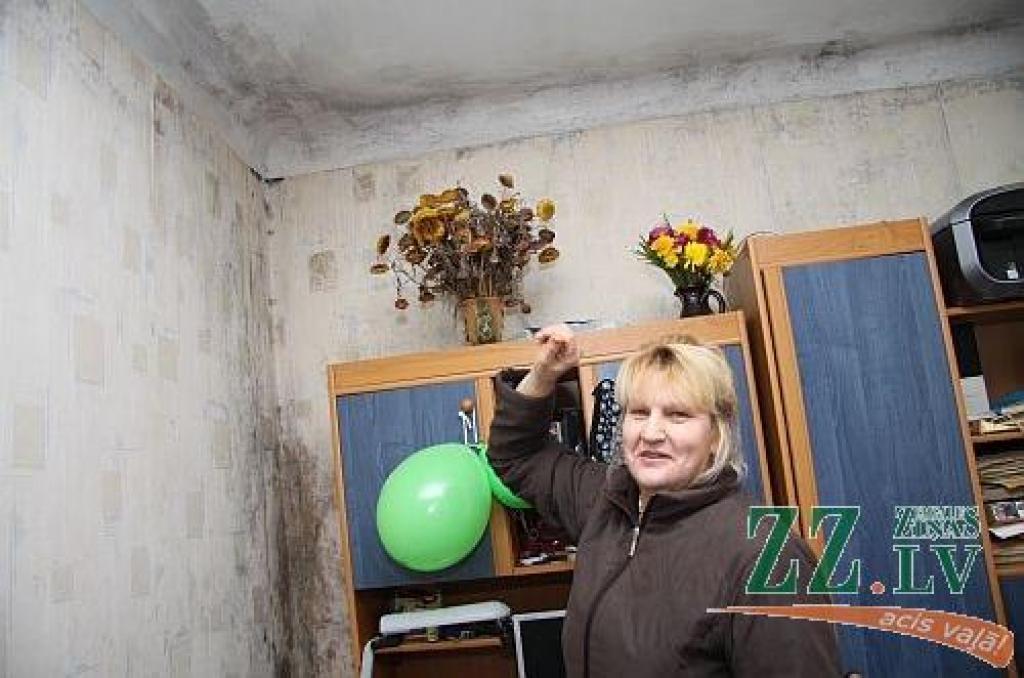 Sestdien «Zemgales Ziņās»: Siltināšana sadala frontēs; Piens aizplūst uz ārzemēm; Aicinājums pārbaudīt plaušas rada vilšanos
