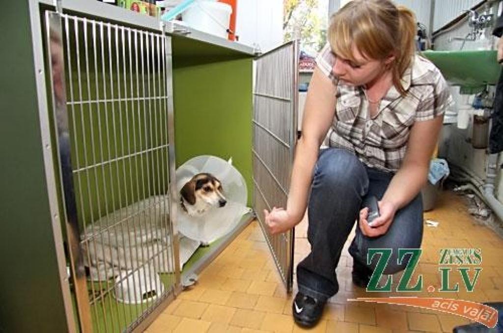 Šodien «Zemgales Ziņās»: Sabraukti un tāpēc nevajadzīgi