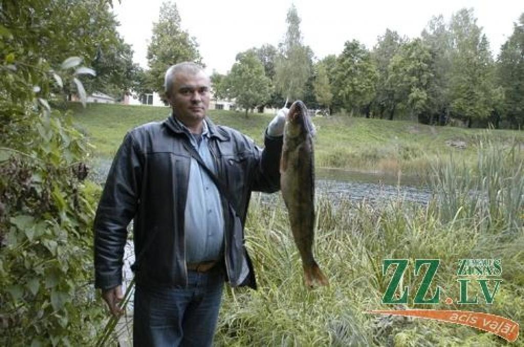 Lielupē noķer rekordlielu zandartu