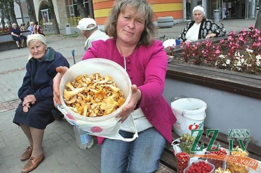 Lietus un siltums izvilina sēnes