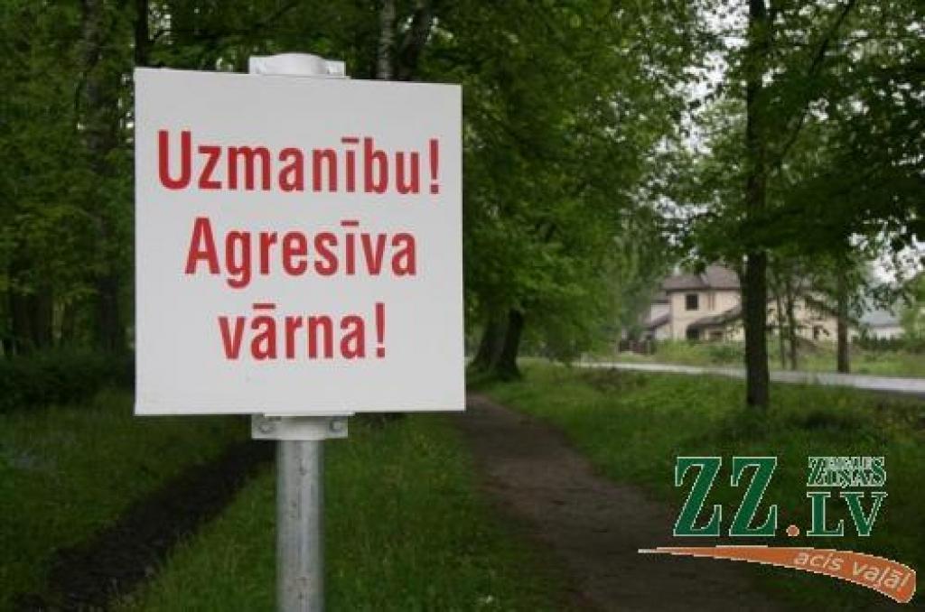 Par agresīvo vārnu brīdina zīme