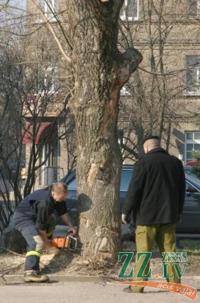 Ugunsdzēsēji sakopj apkārtni