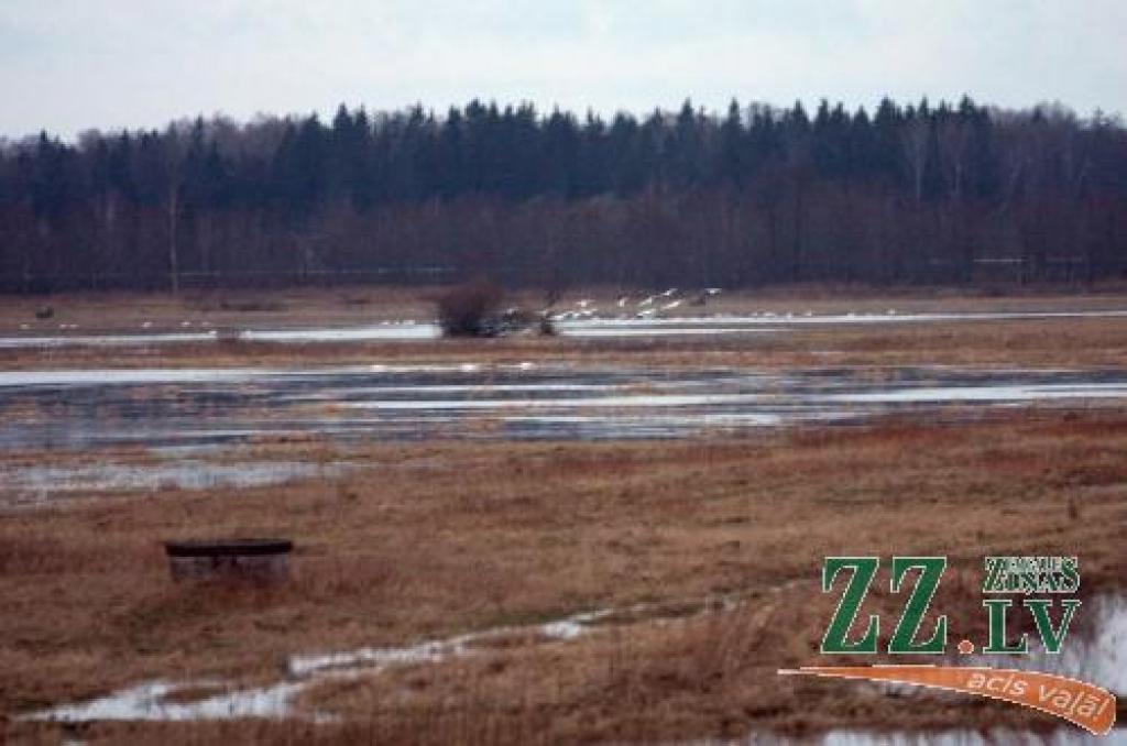 Svētes palienes pļavām – aizsargājamas teritorijas statuss