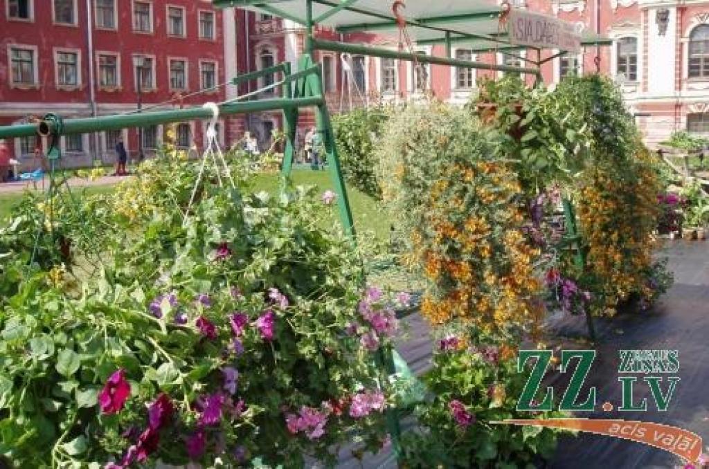 Jubilejas Stādu parāde notiks Jelgavas pils parkā