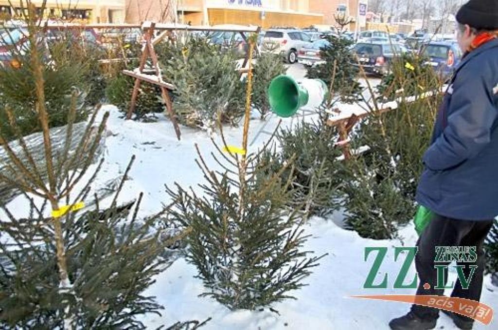 Eglītes varēs nopirkt septiņās vietās