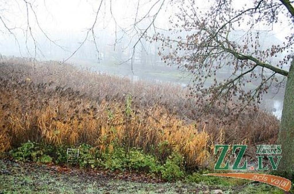 Migla varētu saglabāties visu dienu; redzamība ir 400 metru