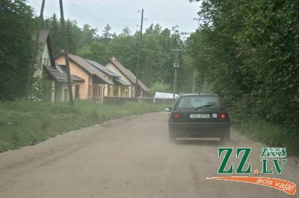 Aizvadītajā vasarā atputekļošanas metode pielietota jau 11 Jelgavas ielās