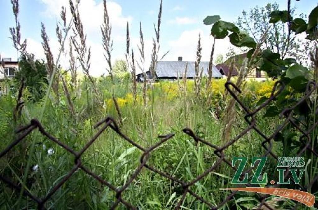 Policija aicina arī rudenī nopļaut zāli ap īpašumu; vasarā sastādīti 70 protokoli