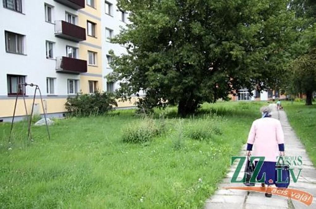 Pēc mediju iejaukšanās NĪP atzīst savu neizdarību un sola nopļaut pagalmu