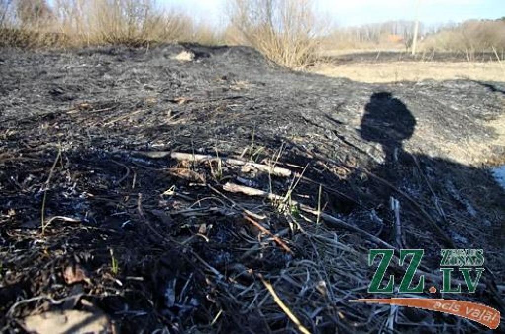 Kūlas dedzinātāju dēļ pirmajā pusgadā ugunsgrēku daudz vairāk nekā pērn