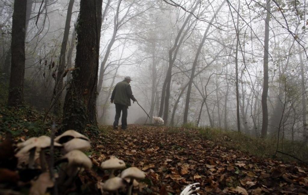 Meklējot «balto zeltu» Itālijā