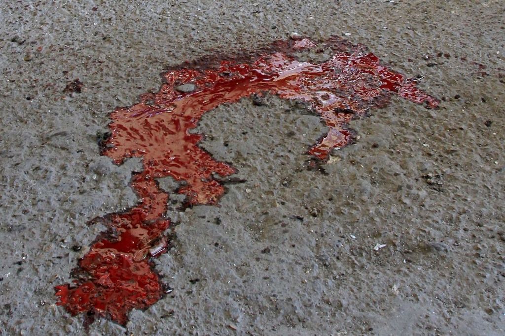 Trīs nepilngadīgi jaunieši mantkārīgos nolūkos nežēlīgi noslepkavo uzņēmēju