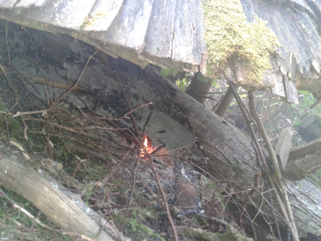 FOTO: Siguldā izpostīta vēsturiska skatu vieta - Ķeizarskats