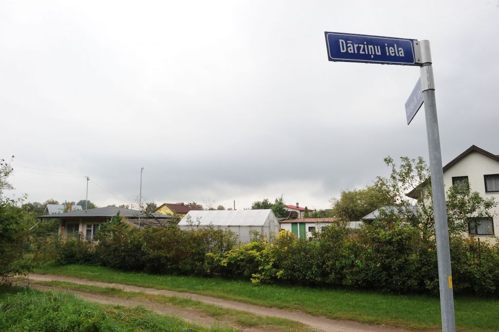 Aizdomājas par Dārziņu iespējām