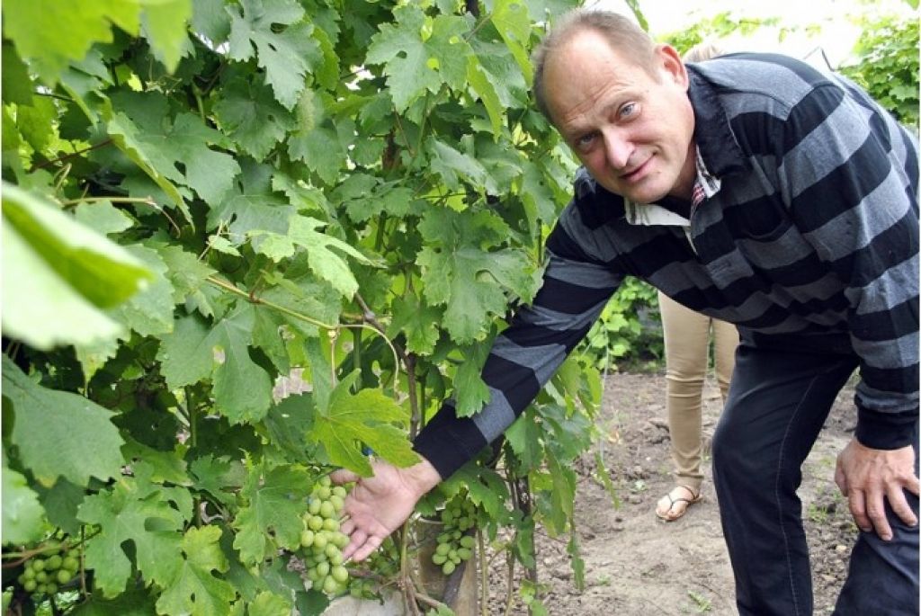 Bauskas pusē darīts vīns konkursā ieguvis pirmo vietu