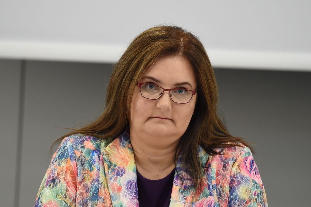 Pelēkā: Jaunajam VID vadītājam jābūt iedvesmojošam līderim