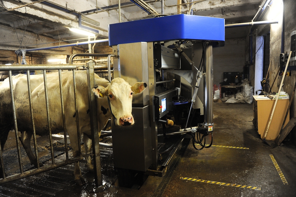 Zemnieku saimniecība "Putriņas" ieguldīs 1,97 miljonus eiro kūts un mēslu krātuves būvniecībā
