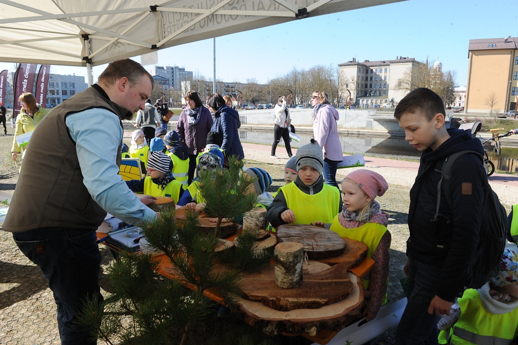Mežs šogad ienāk Jelgavas Pasta salā (FOTO)