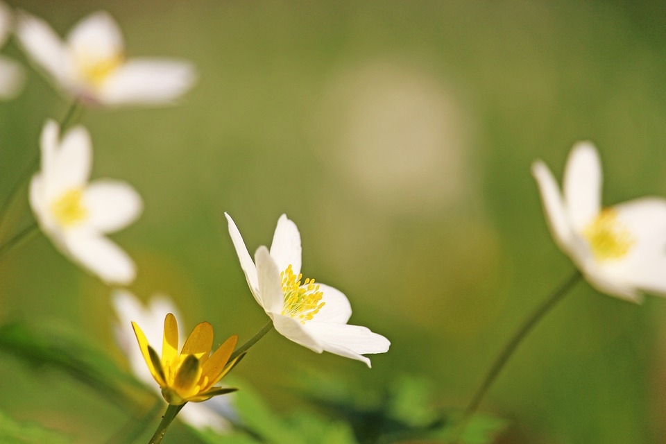 Otrdien spīdēs saule un kļūs par grādu siltāks
