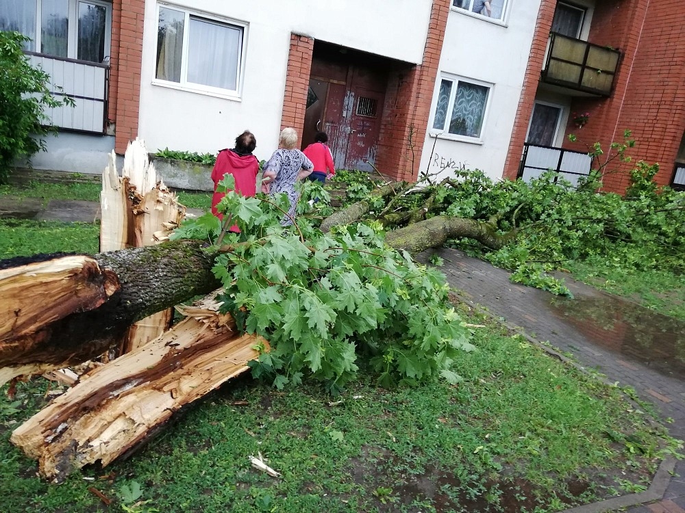 Kurzemē un Vidzemē pērkona negaiss lauzis kokus un atnesis lielus krusas graudus