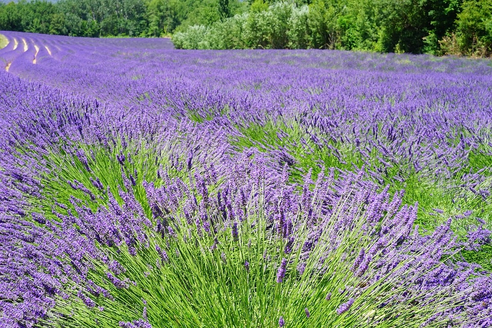 Rietumeiropas karstums Latvijā ienāks caur Skandināviju