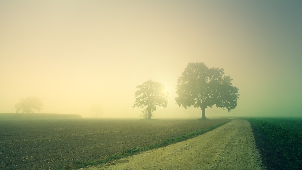 Otrdien kļūs nedaudz vēsāks, vietām gaidāms lietus un migla