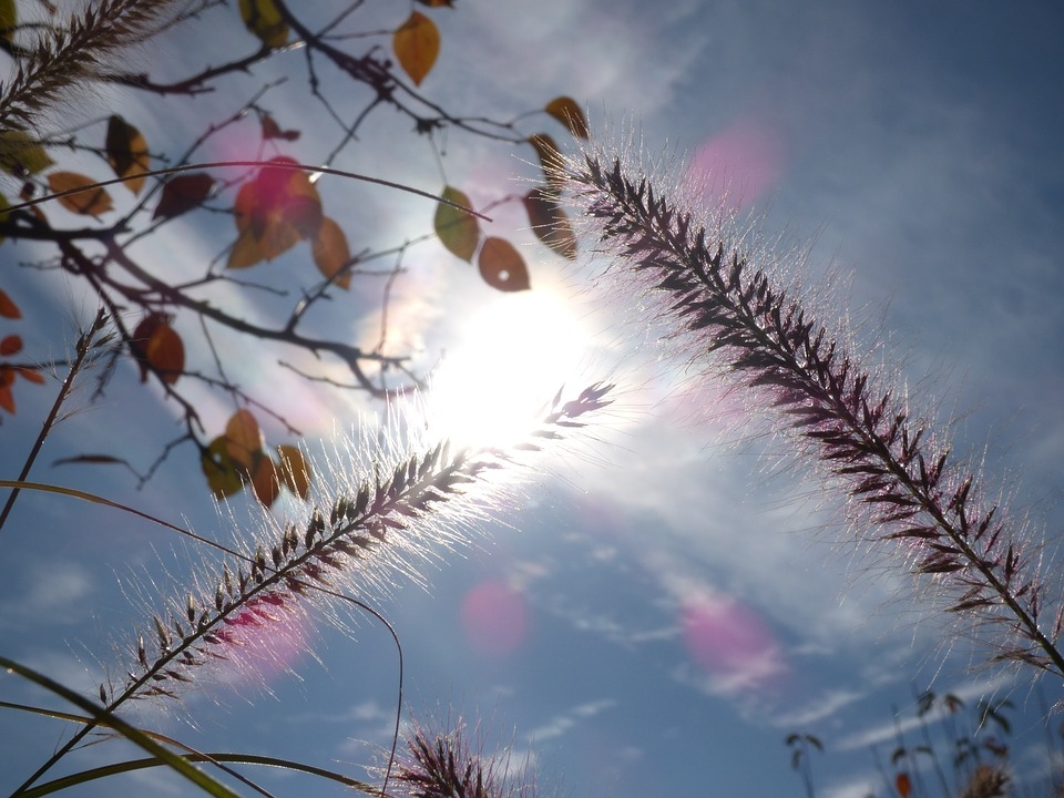 Pirmdien uzspīdēs saule un pūtīs spēcīgs vējš