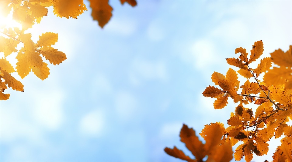 Pirmdien sāksies astronomiskais rudens