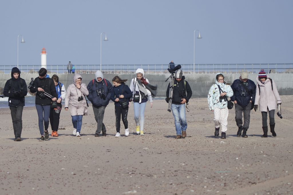 Oktobra pirmajā nedēļas nogalē aicina vērot putnu rudens migrāciju