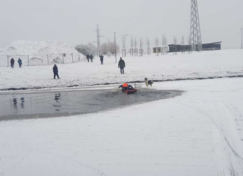Jelgavā ugunsdzēsēji glābēji izglābj Driksas ledū ielūzušu suni