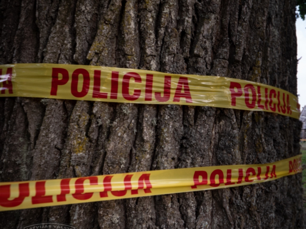 Sieviete dzērumā iebrauc kokā