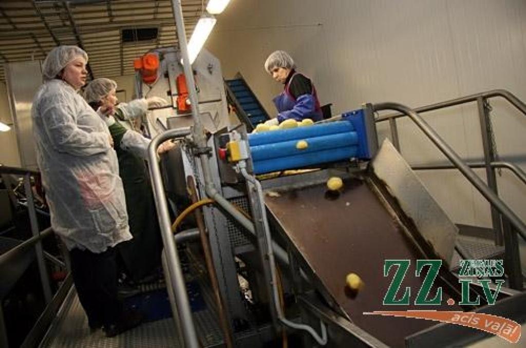 Otrdien «Zemgales Ziņās»: Kamēr pašvaldības dala mantu, uzņēmēji kravā koferus; studentiem – diplomdarba tēma, uzņēmējiem – rezultāts; NVA: Tie, kuri vēlas strādāt, darbu var atrast