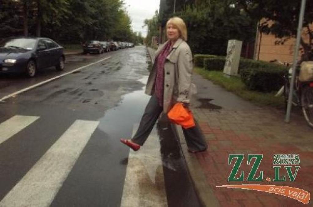 Peļķe «māca» apiet gājēju pāreju