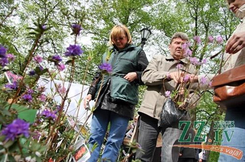 FOTO: Jelgavā notiek Stādu dienas; pils parks pilns tirgotāju un apmeklētāju