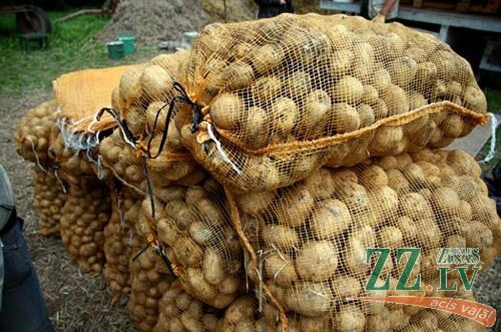 Bērnu biezeņu ražotājs «Lat Eko Food» plāno šogad pieckārtīgi kāpināt ražošanas apjomu