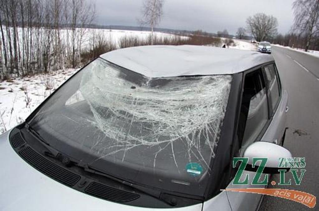 FOTO: Nobrauc no ceļa un apgāžas; šoferis apgalvo – izvairījies no pretimbraucoša autobusa