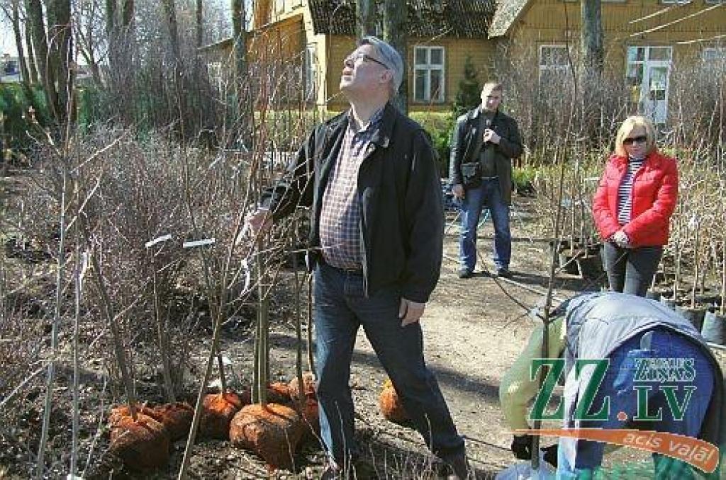 Zatlers ar kundzi atkal apmeklē Zaļenieku kokaudzētavu un iegādājas dižstādus