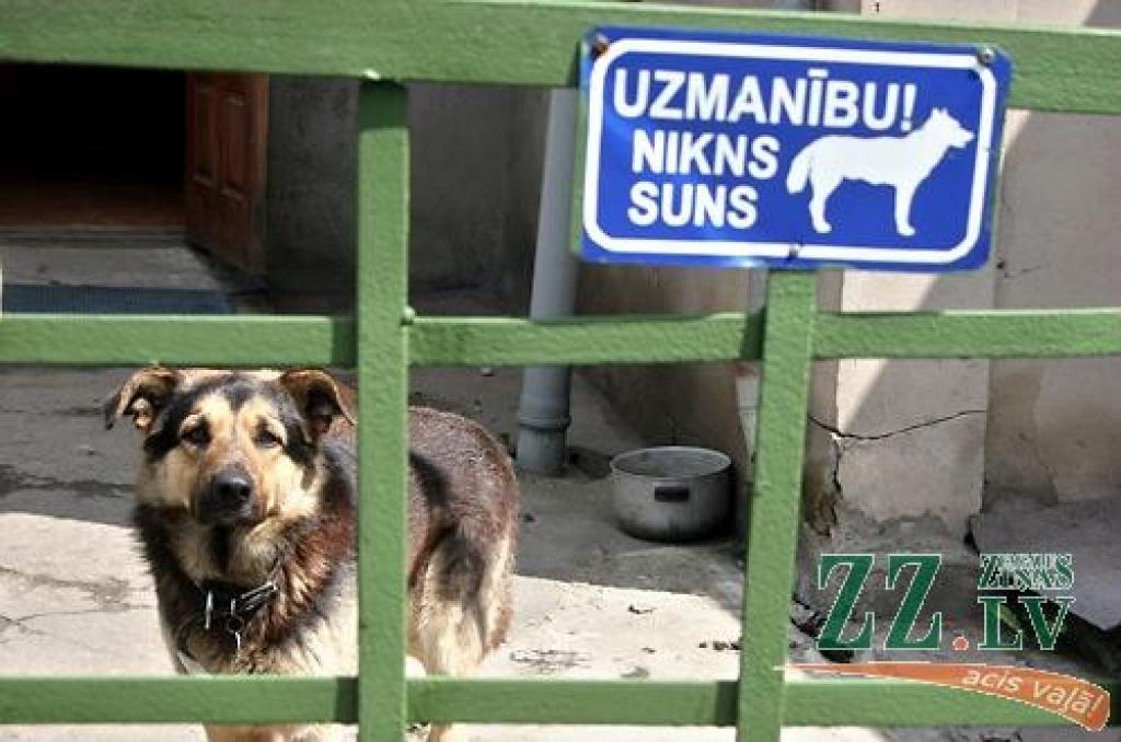 Suņu īpašniekiem urnu ignorētājiem prasīs lielākus sodus