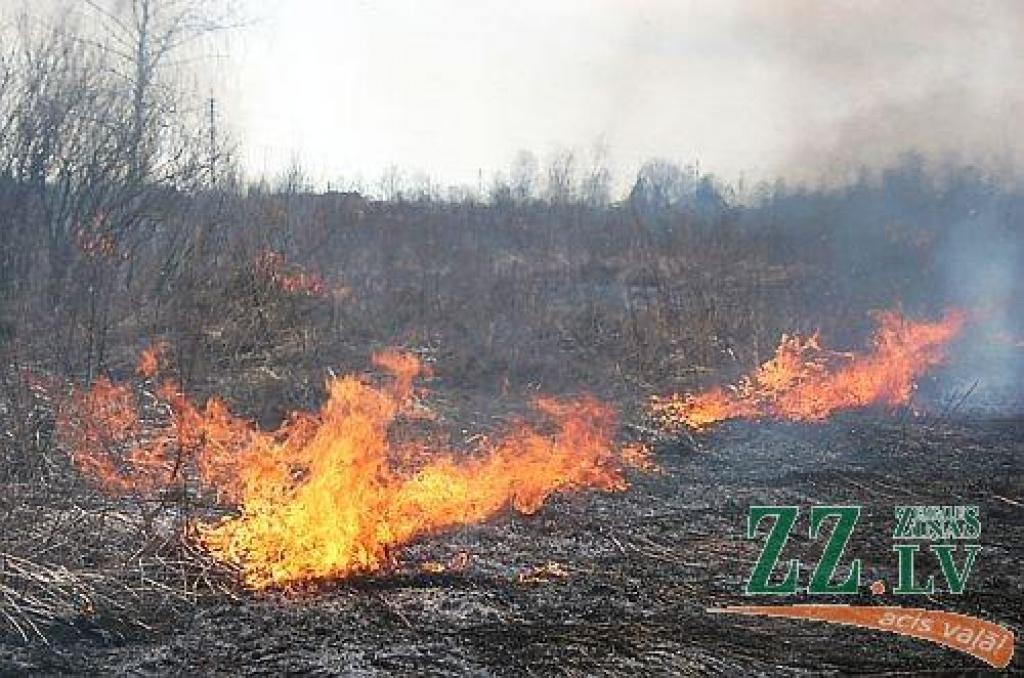 17 procenti iedzīvotāju nedarītu neko, ja redzētu kūlas ugunsgrēku